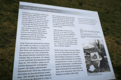 200307_darss13-Copy