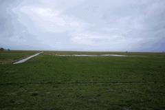 200307_darss14-Copy