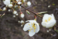 200307_darss16-Copy