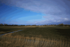200307_darss18-Copy