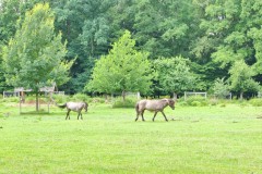 IMG_20210807_122224b