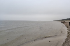 IMG_20220101_151546
