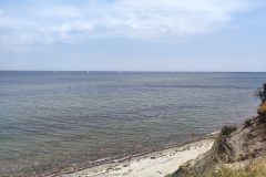 IMG_20210724_114418-Copy