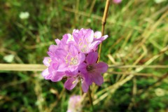 11082021_rostocker_schweiz_013