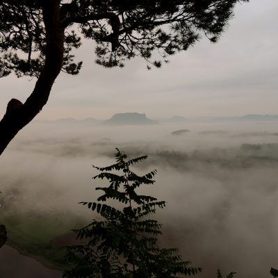 Der Lilienstein thront über dem Nebel